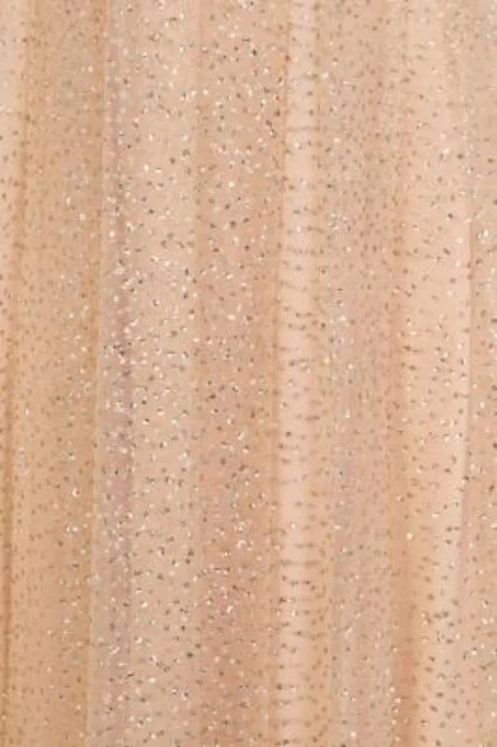 Hart Nude Gold Mesh Sparkle Plunge Maxi Gown Dress