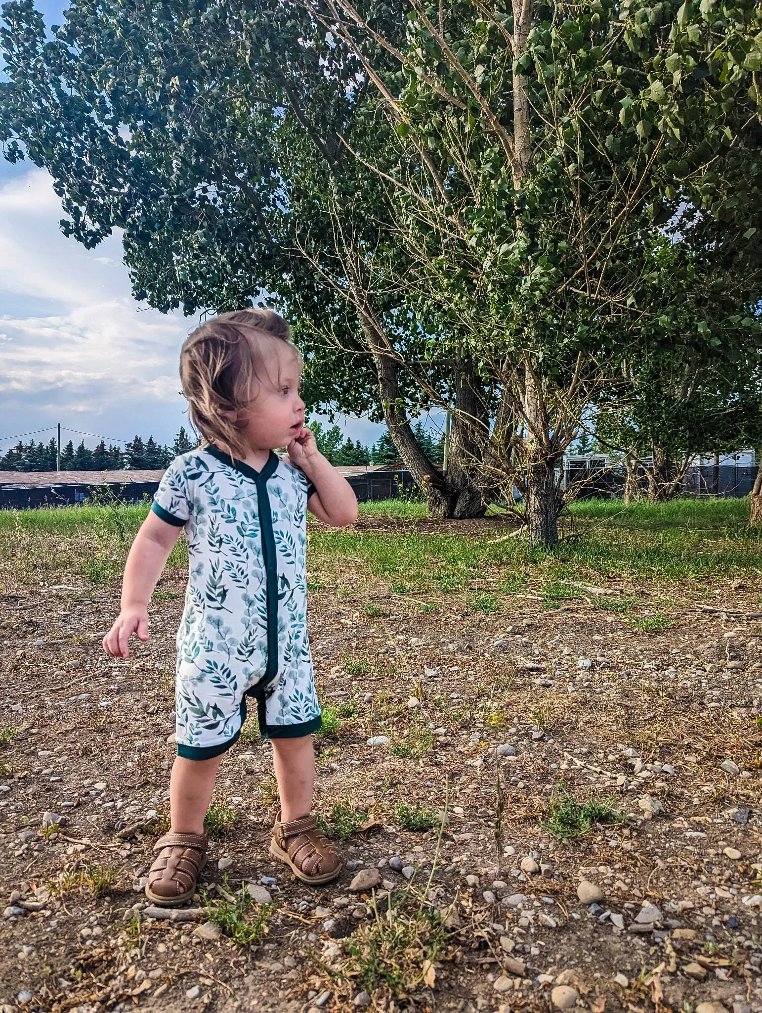 Plant Life Bamboo Snap Shortie