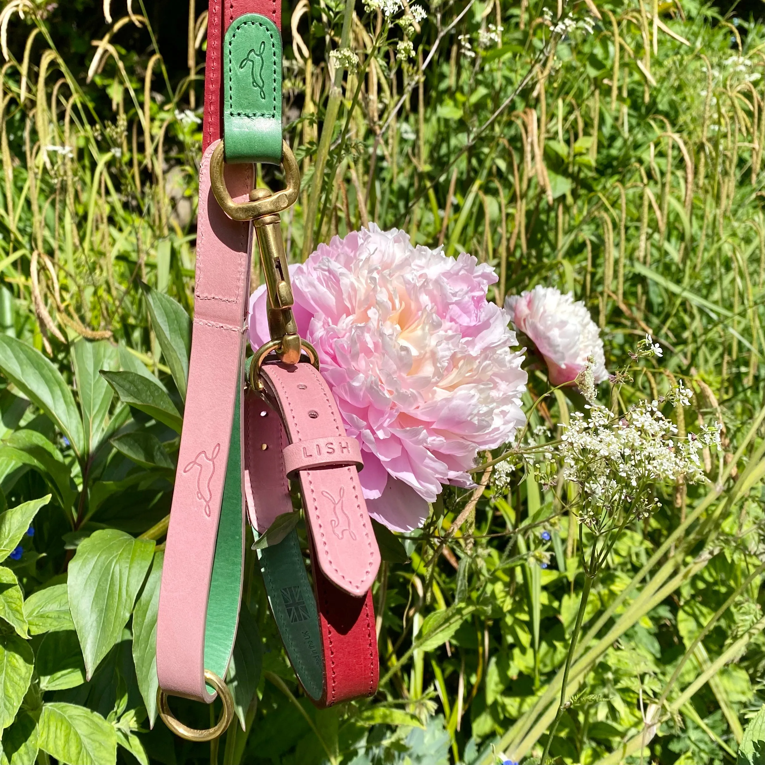 Walter Pink Italian Leather Dog Collar